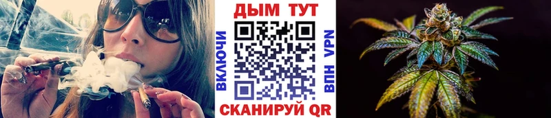 Купить закладки  Чайковский  Канабис семена 